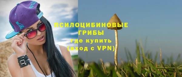 спиды Аркадак