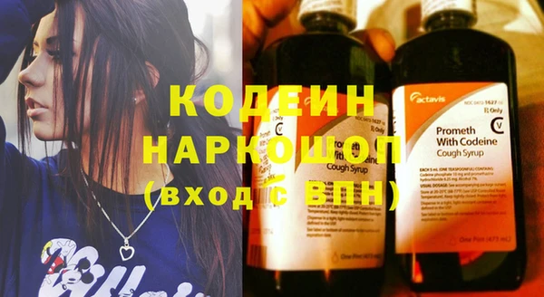 шишки Балахна