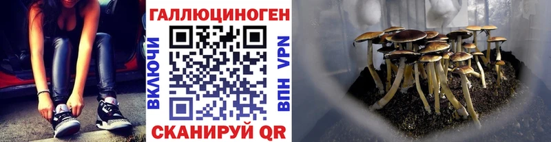 Псилоцибиновые грибы Psilocybe  закладка  Талица 
